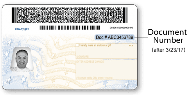 NY DMV Sample Document Number