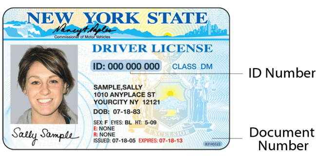 NY DMV Sample Document Number